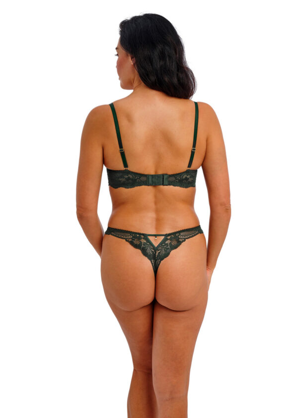 Tanga Wacoal Natsuki Lace Juniper – Image 3